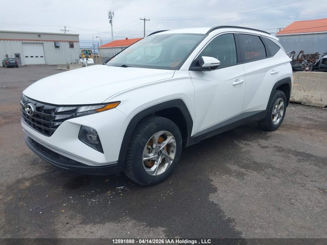 2024 Hyundai Tucson Sel მანქანა იყიდება აუქციონზე, vin: KM8JBCDEXRU334527, აუქციონის ნომერი: 12591880