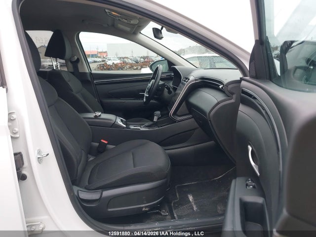 2024 Hyundai Tucson Sel მანქანა იყიდება აუქციონზე, vin: KM8JBCDEXRU334527, აუქციონის ნომერი: 12591880