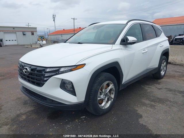 2024 Hyundai Tucson Sel მანქანა იყიდება აუქციონზე, vin: KM8JBCDEXRU334527, აუქციონის ნომერი: 12591880