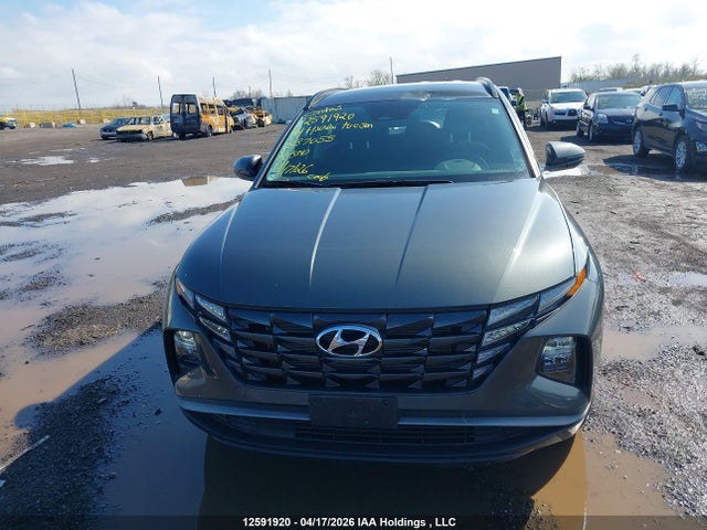 Hyundai TUCSON SEL 2024 KM8JBCDEXRU337055 Image 12