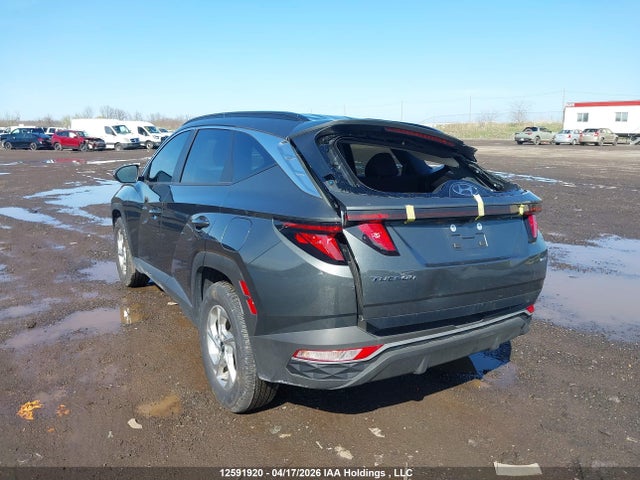 Hyundai TUCSON SEL 2024 KM8JBCDEXRU337055 Image 3