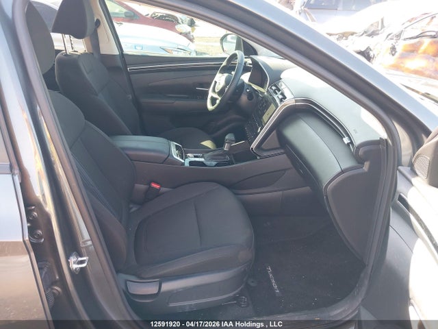 Hyundai TUCSON SEL 2024 KM8JBCDEXRU337055 Image 5