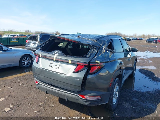 Hyundai TUCSON SEL 2024 KM8JBCDEXRU337055 Image 6