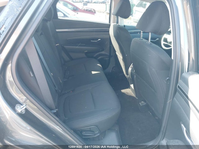 Hyundai TUCSON SEL 2024 KM8JBCDEXRU337055 Image 8
