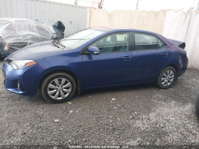 2T1BURHE4GC652024 Toyota Corolla L/le/le Pls/prm/s/s Pls