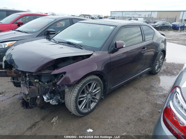 12592002 :رقم المزاد ، JTKJF5C72B3002626 vin ، 2011 Toyota Scion Tc مزاد بيع
