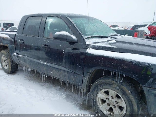 2011 Dodge Dakota Slt მანქანა იყიდება აუქციონზე, vin: 1D7RW3GP6BS625638, აუქციონის ნომერი: 12592104