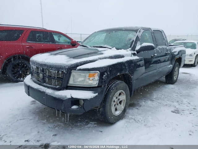 2011 Dodge Dakota Slt მანქანა იყიდება აუქციონზე, vin: 1D7RW3GP6BS625638, აუქციონის ნომერი: 12592104