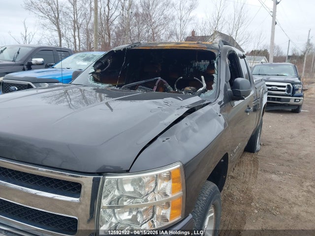 Продаж на аукціоні авто 2010 Chevrolet Silverado K1500 Lt, vin: 1GCSKSE30AZ209320, номер лоту: 12592122