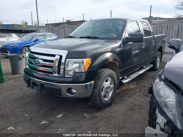 Продажа на аукционе авто 2012 Ford F150 Supercrew, vin: 1FTFW1EF0CFC05508, номер лота: 12592125