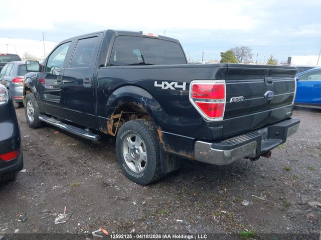 Продажа на аукционе авто 2012 Ford F150 Supercrew, vin: 1FTFW1EF0CFC05508, номер лота: 12592125