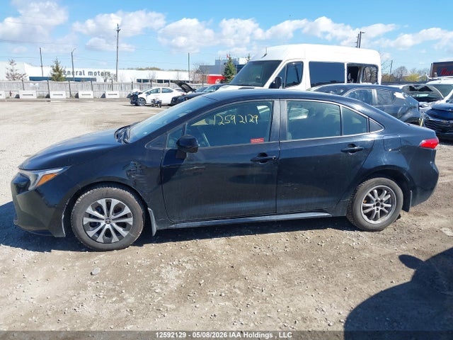 Aukcja sprzedaży 2023 Toyota Corolla Le/se/xle, vin: JTDBCMFE3P3009200, numer aukcji: 12592129
