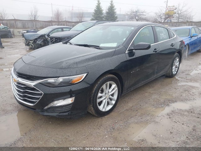 1G1ZD5STXPF222786 Chevrolet MALIBU LT