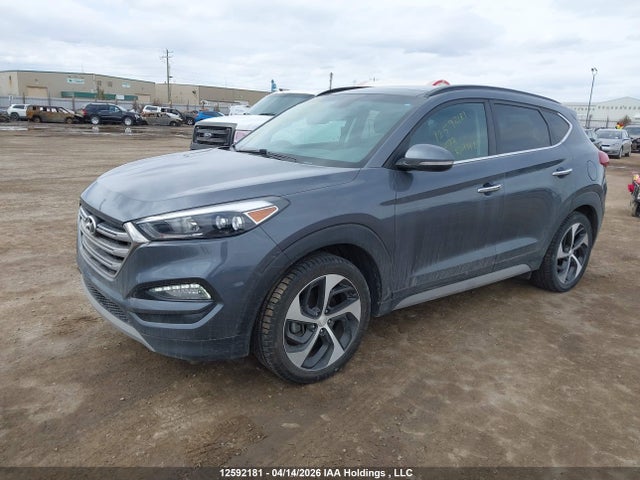 2017 Hyundai Tucson Limited მანქანა იყიდება აუქციონზე, vin: KM8J3CA23HU431817, აუქციონის ნომერი: 12592181