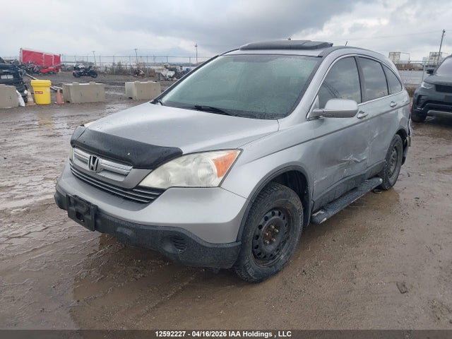 12592227 :رقم المزاد ، 5J6RE48787L816569 vin ، 2007 Honda Cr-v Exl مزاد بيع