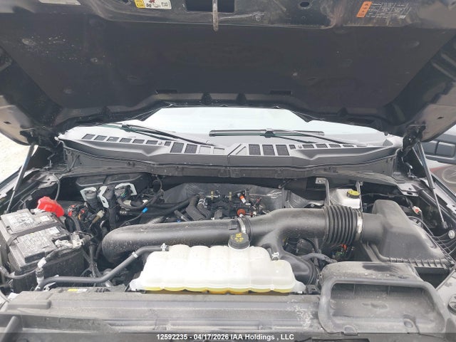 Aukcja sprzedaży 2025 Ford F-150 Xlt, vin: 1FTFW3L8XSKE78851, numer aukcji: 12592235