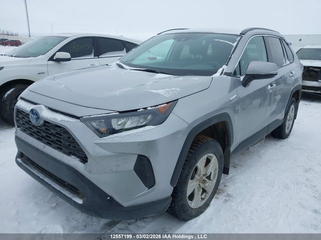 2T3BWRFV0LW101036 Toyota Rav4 Hybrid Le