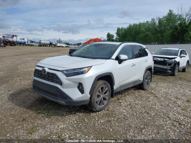 2025 Toyota Rav4 Limited მანქანა იყიდება აუქციონზე, vin: 2T3DWRFV6SW257928, აუქციონის ნომერი: 12592288