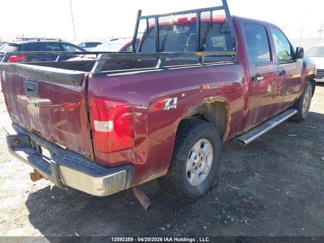 2009 Chevrolet Silverado K1500 მანქანა იყიდება აუქციონზე, vin: 3GCEK13349G227583, აუქციონის ნომერი: 12592359