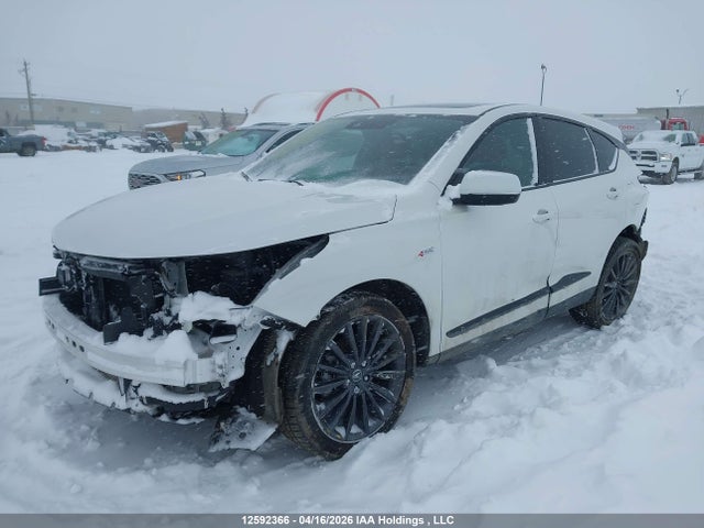 5J8TC2H89RL801582 Acura Rdx Platinum Elite A-spec