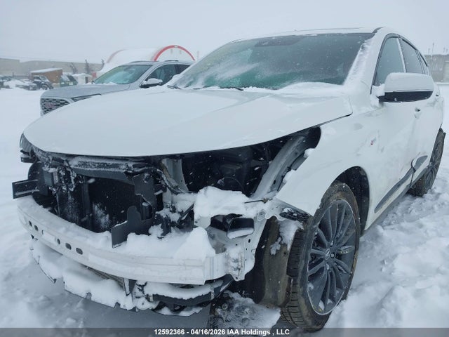 5J8TC2H89RL801582 Acura Rdx Platinum Elite A-spec