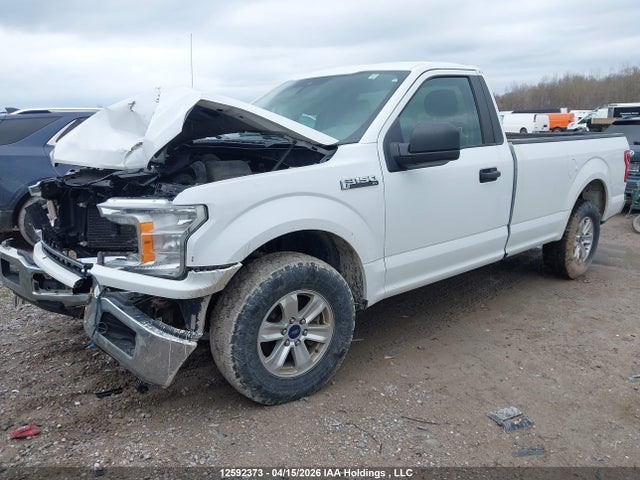 2019 Ford F-150 Xl მანქანა იყიდება აუქციონზე, vin: 1FTMF1C51KKD59278, აუქციონის ნომერი: 12592373