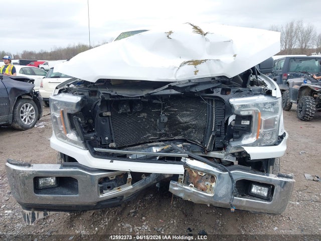2019 Ford F-150 Xl მანქანა იყიდება აუქციონზე, vin: 1FTMF1C51KKD59278, აუქციონის ნომერი: 12592373