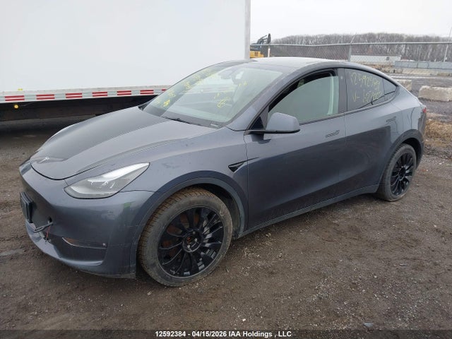 2023 Tesla Model Y Long Range მანქანა იყიდება აუქციონზე, vin: 7SAYGDEE1PF627007, აუქციონის ნომერი: 12592384
