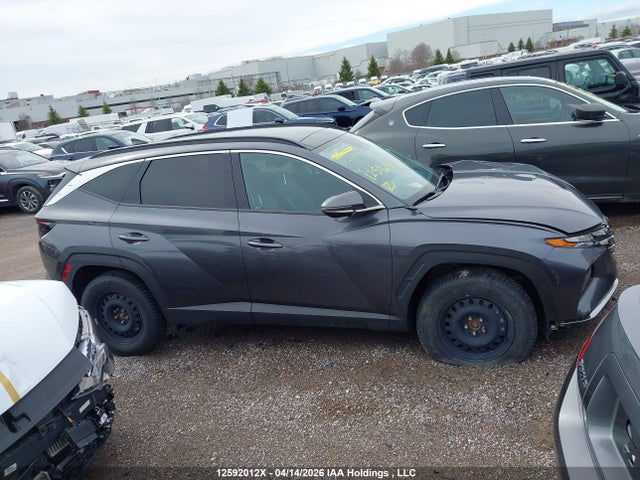 Продаж на аукціоні авто 2023 Hyundai Tucson Preferred Awd With Trend Package, vin: KM8JCCAE5PU202239, номер лоту: 12592012