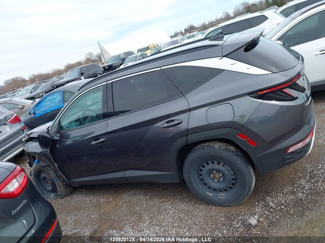 Продаж на аукціоні авто 2023 Hyundai Tucson Preferred Awd With Trend Package, vin: KM8JCCAE5PU202239, номер лоту: 12592012