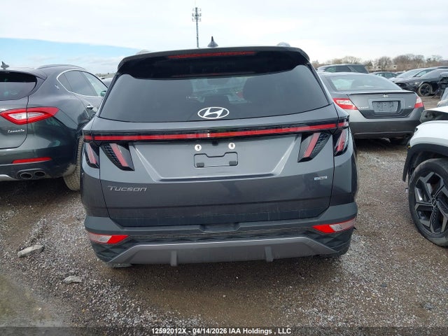 Продаж на аукціоні авто 2023 Hyundai Tucson Preferred Awd With Trend Package, vin: KM8JCCAE5PU202239, номер лоту: 12592012