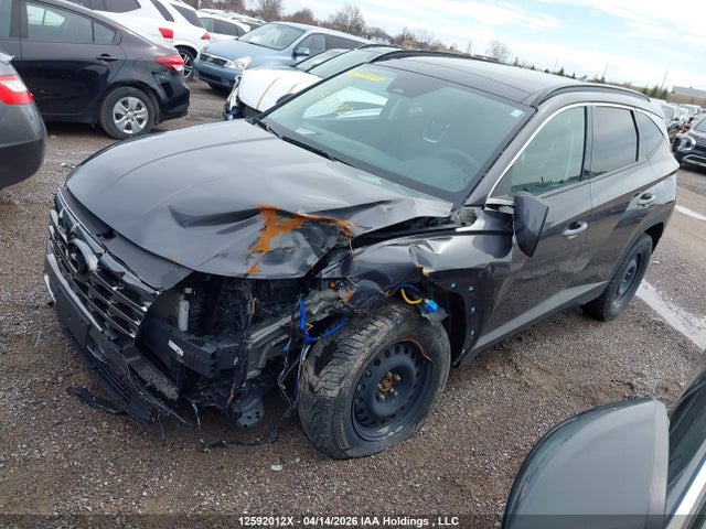 Продаж на аукціоні авто 2023 Hyundai Tucson Preferred Awd With Trend Package, vin: KM8JCCAE5PU202239, номер лоту: 12592012