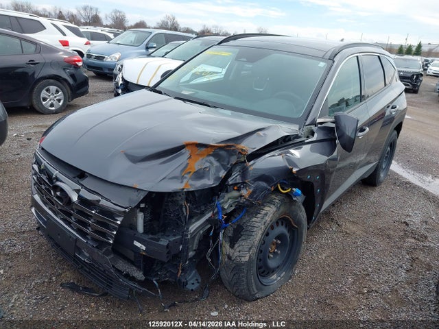 Продаж на аукціоні авто 2023 Hyundai Tucson Preferred Awd With Trend Package, vin: KM8JCCAE5PU202239, номер лоту: 12592012