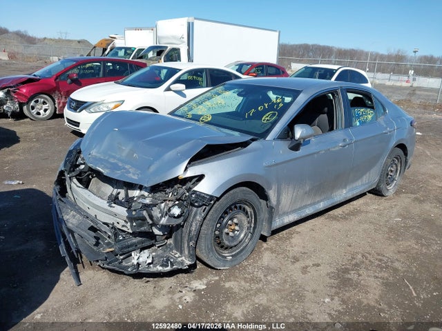 4T1C31AK5MU569396 Toyota CAMRY LE