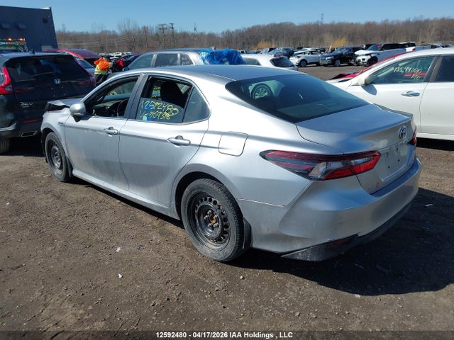 4T1C31AK5MU569396 Toyota CAMRY LE