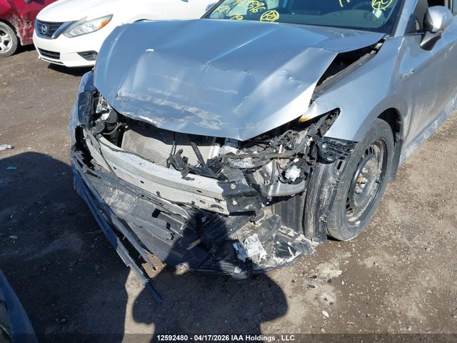 4T1C31AK5MU569396 Toyota CAMRY LE