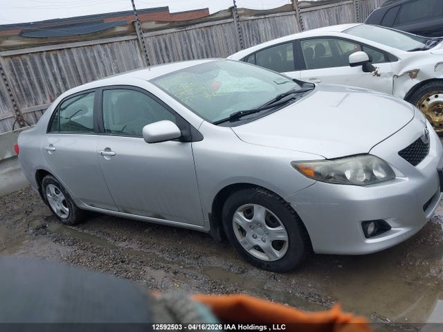 2009 Toyota Corolla S/le/xle მანქანა იყიდება აუქციონზე, vin: 2T1BU40E39C049504, აუქციონის ნომერი: 12592503