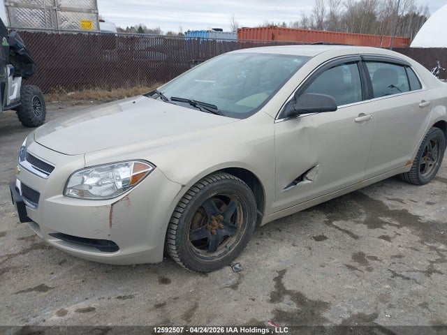 2012 Chevrolet Malibu მანქანა იყიდება აუქციონზე, vin: 1G1ZB5EU0CF123897, აუქციონის ნომერი: 12592507
