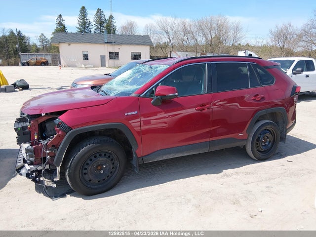 12592515 :رقم المزاد ، 2T3BWRFV2LW085082 vin ، 2020 Toyota Rav4 Hybrid Le مزاد بيع