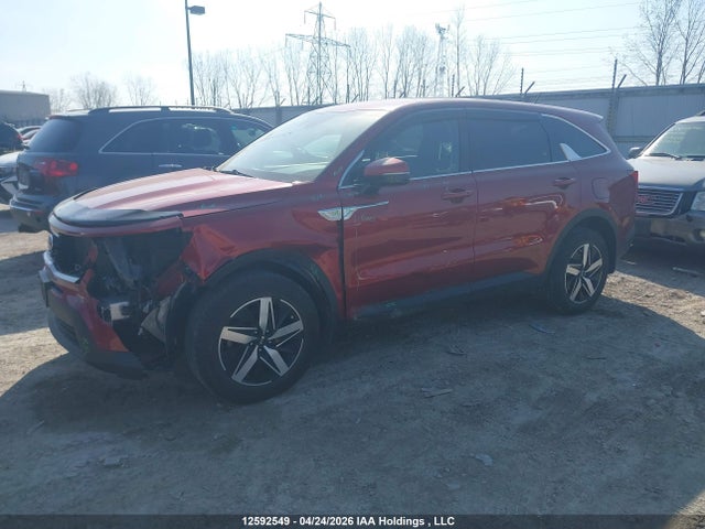 5XYRGDLCXMG004296 KIA Sorento