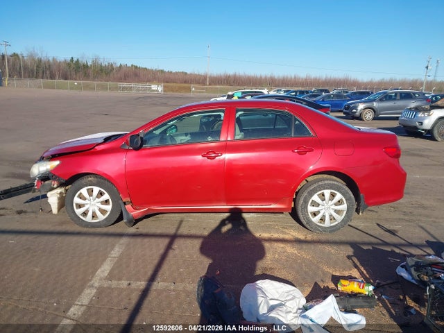 Продаж на аукціоні авто 2009 Toyota Corolla Ce, vin: 2T1BU40E99C033923, номер лоту: 12592606