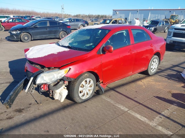Продаж на аукціоні авто 2009 Toyota Corolla Ce, vin: 2T1BU40E99C033923, номер лоту: 12592606