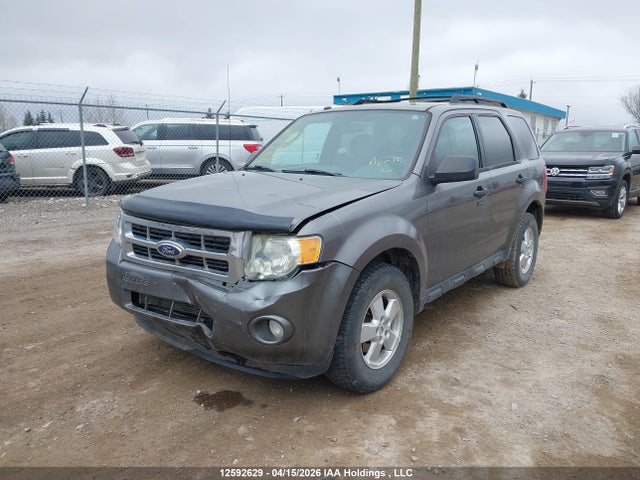 Продажа на аукционе авто 2012 Ford Escape Xlt, vin: 1FMCU0D77CKA11557, номер лота: 12592629