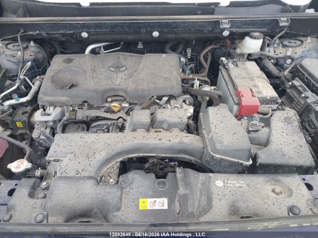 12592649 :رقم المزاد ، 2T3R1RFV2SW504785 vin ، 2025 Toyota Rav4 Xle مزاد بيع