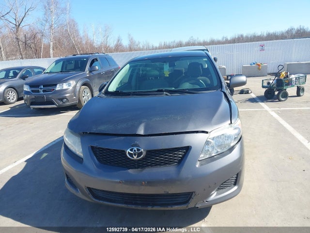 2009 Toyota Corolla Ce მანქანა იყიდება აუქციონზე, vin: 2T1BU40E09C093640, აუქციონის ნომერი: 12592739