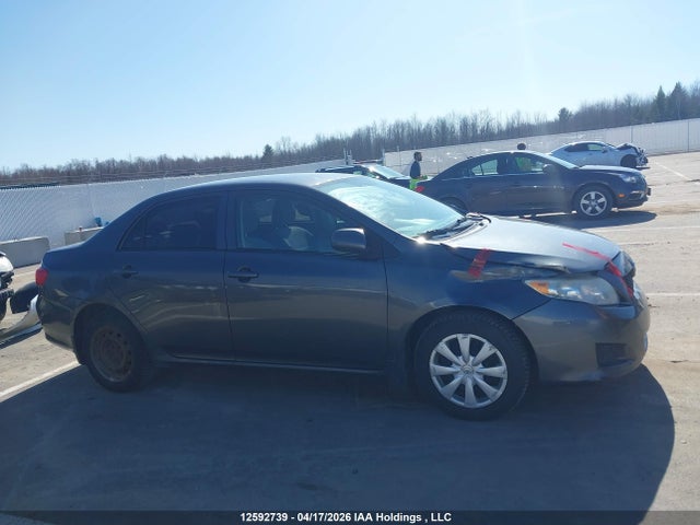 2009 Toyota Corolla Ce მანქანა იყიდება აუქციონზე, vin: 2T1BU40E09C093640, აუქციონის ნომერი: 12592739