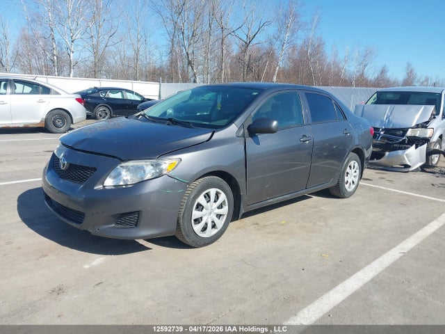 2009 Toyota Corolla Ce მანქანა იყიდება აუქციონზე, vin: 2T1BU40E09C093640, აუქციონის ნომერი: 12592739