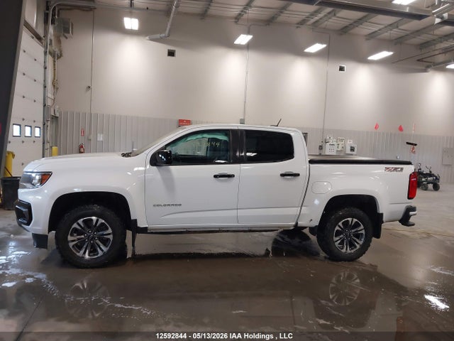 1GCGTDEN5M1194719 Chevrolet Colorado Z71