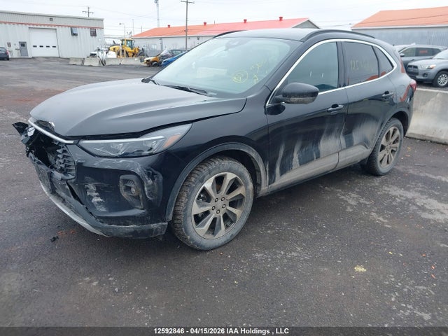 2024 Ford Escape Platinum მანქანა იყიდება აუქციონზე, vin: 1FMCU9JA0RUA71780, აუქციონის ნომერი: 12592846