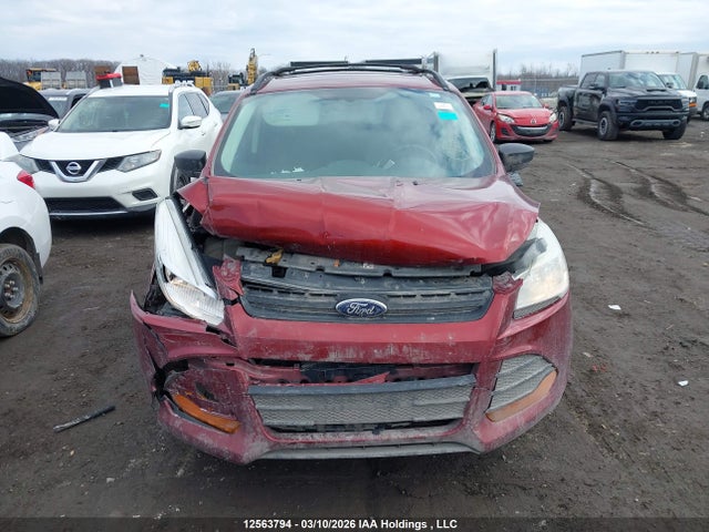 2014 Ford Escape S მანქანა იყიდება აუქციონზე, vin: 1FMCU0F71EUC25402, აუქციონის ნომერი: 12563794
